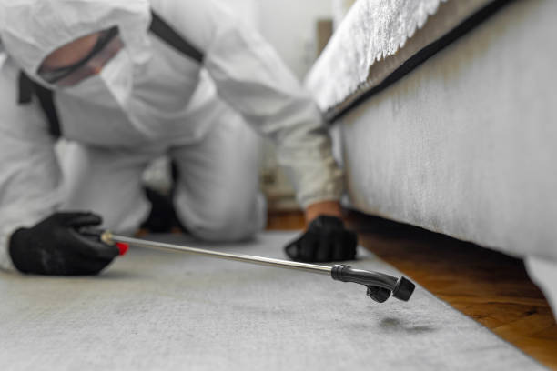 Professional Bed Bug Control technician working in Annapolis Neck, MD